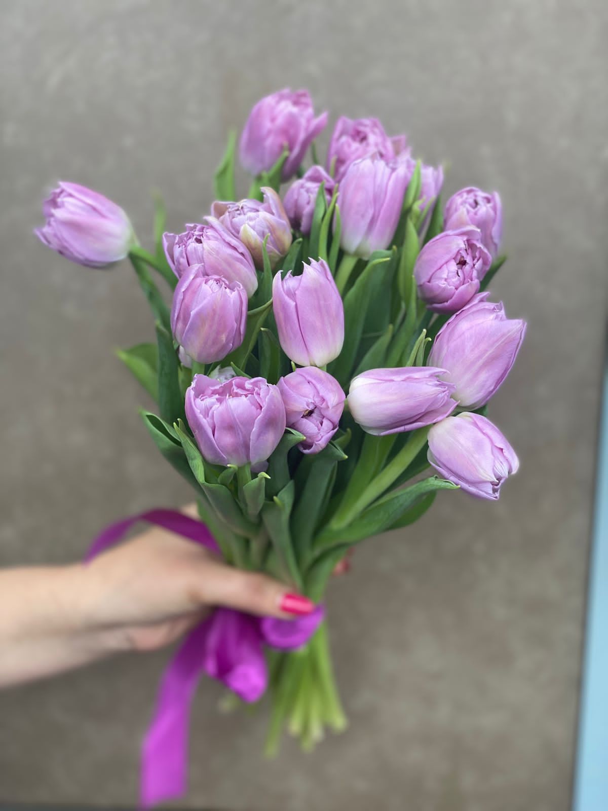 17 Фиолетовых Тюльпанов